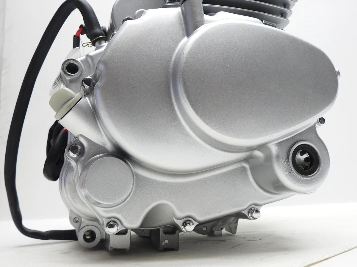 4-Stroke 200cc Vertical ATVs Engine for 200CC, 250cc ATV's 308-999039 165FMM