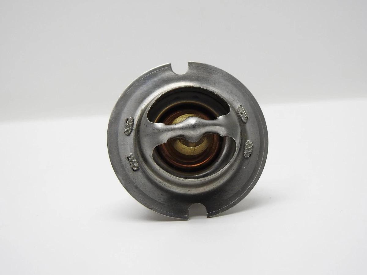 OEM Caltherm 38000-0007 120F Thermal Regulator For MasterTemp and Max-E-Therm