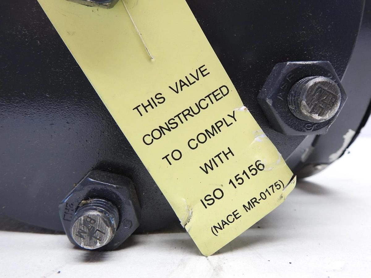 KF Check Valve 3" Swing Check Valve 7778-1139KC19G1 Class 150 Firesafe NEW!