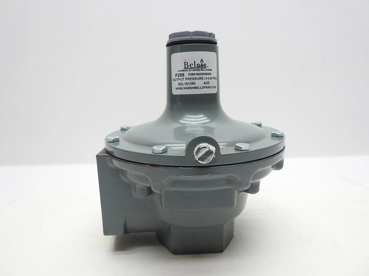 Belgas P289 Series P28916002000000 .5-2.25# SPRING