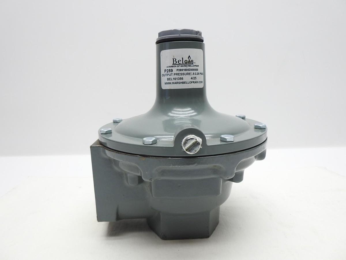 Belgas P289 Series P28916002000000 .5-2.25# SPRING