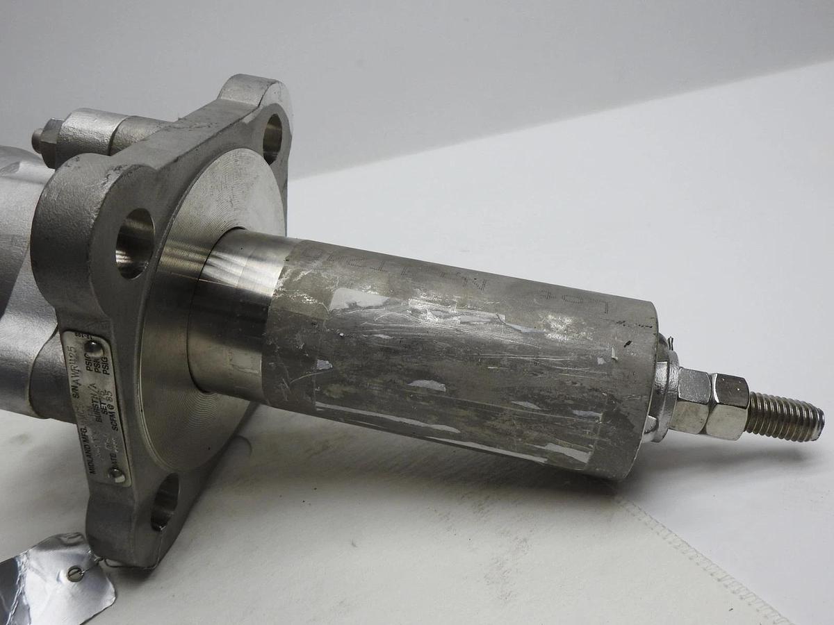 Midland A-1079 Pressure Relief Valve A-1079-F-BN