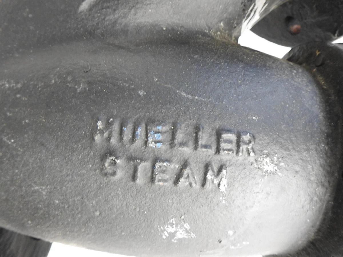 Mueller Steam Specialty Y Strainer Cast Iron, 4 in, Flanged, Perforated OEM NEW!