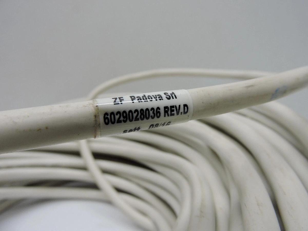 ZF Wiring Harness 6029028036
