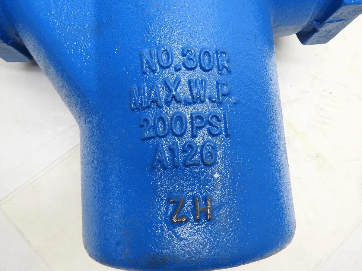 Eaton 30R Strainer 3" A126 Hayward 200 PSI ST325 - NOB NEW!