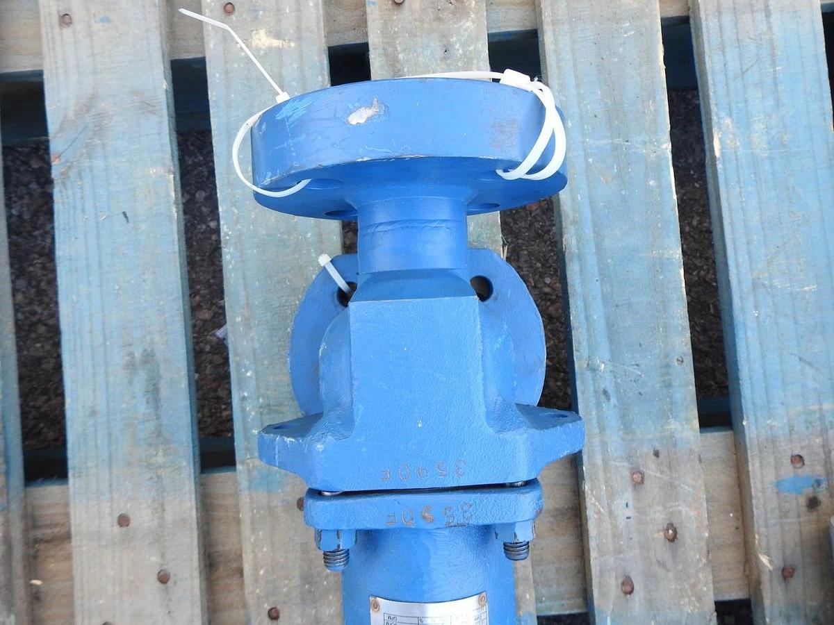 Leser 4582.6104 Flanged Safety Relief Valve 1x2 SV-3590F DN25 TUV-SV