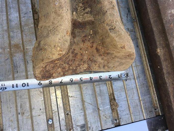 Used Chisel Bit - 9" O.D. x 60" Length