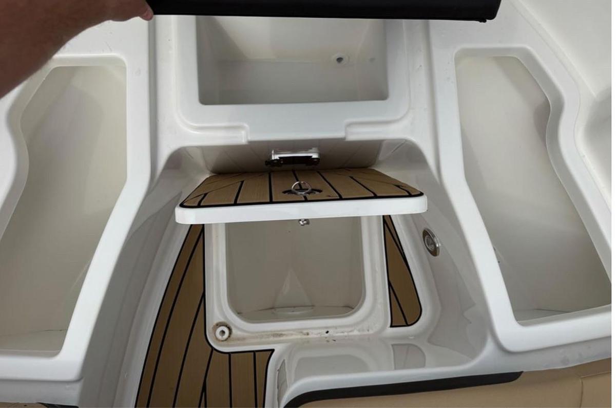 2025 Sea Ray SDX 250 Surf