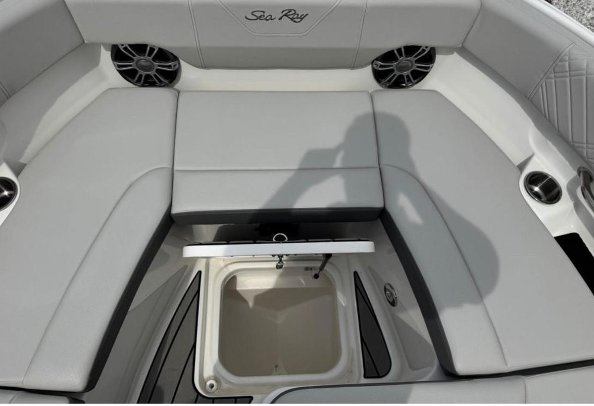 2025 Sea Ray SDX 250 Surf