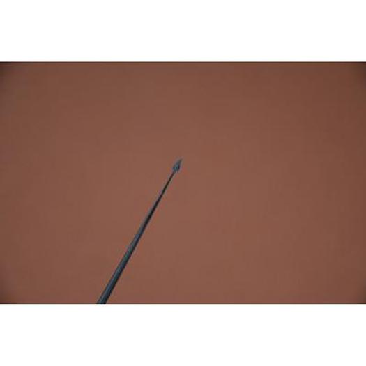 AIGUILLE DE POLITZER COUDEE 17cm (POLITZER PARACENTESIS BENT NEEDLE 17cm)