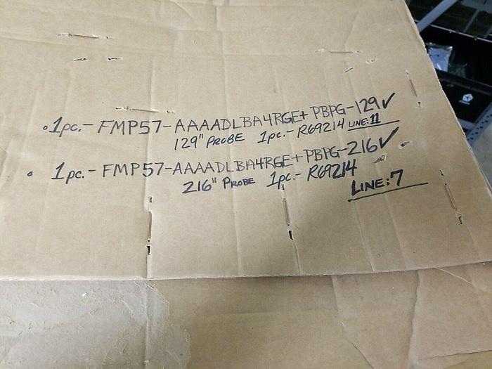 Endress+Hauser FMP57-AAAADLBA4RGE+PBPG-129, FMP57-AAAADLBA4RGE+PBPG-216