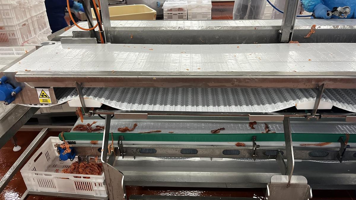 TRIMING CONVEYOR IDEAL FOR THE SEAFOOD AND FISH INDUSTRY WITH WORK STATIONS