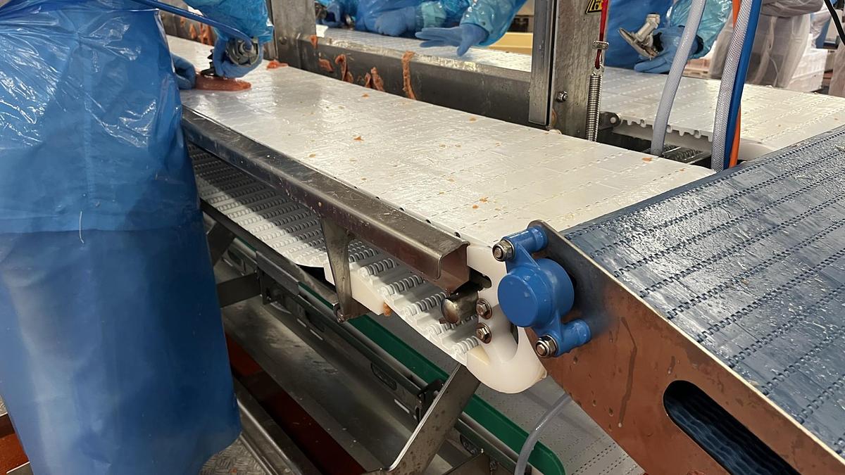 TRIMING CONVEYOR IDEAL FOR THE SEAFOOD AND FISH INDUSTRY WITH WORK STATIONS