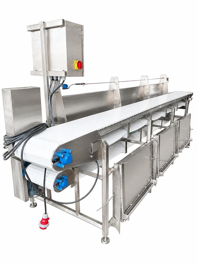 Conveyors with Plastic Belts