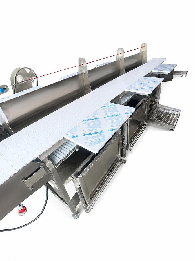Conveyors with Modular and Plastic Belts and Working Tables