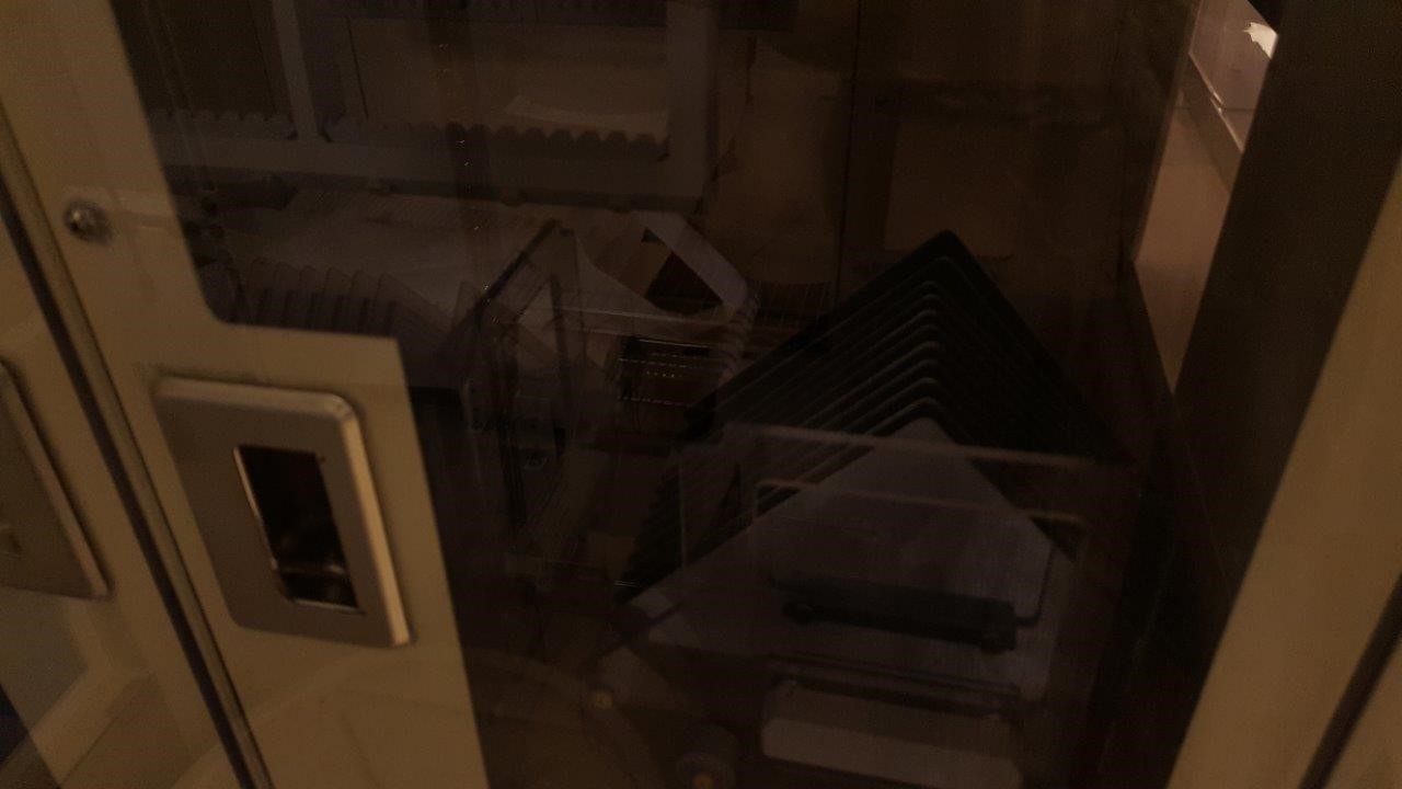 Used DNS WS-820L Automated wafer cleaning system