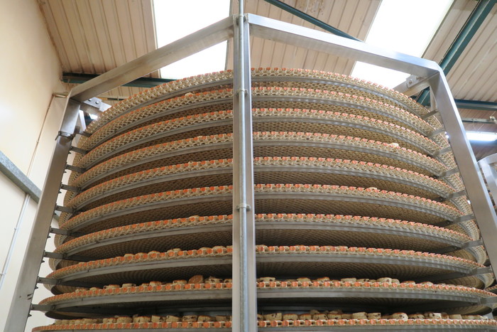 Used Twin Tower Ambient Spiral Cooler