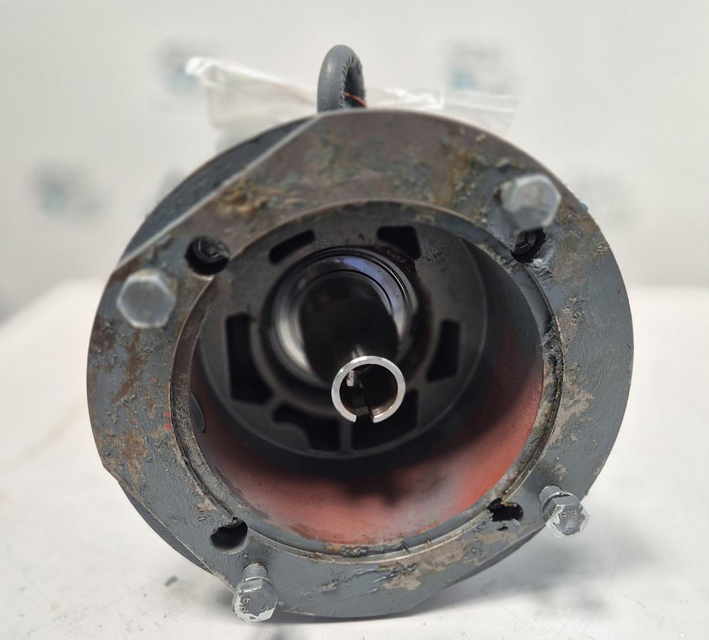 Überholt Bauer Getriebe BK30-54VL-C/IEC100/TM