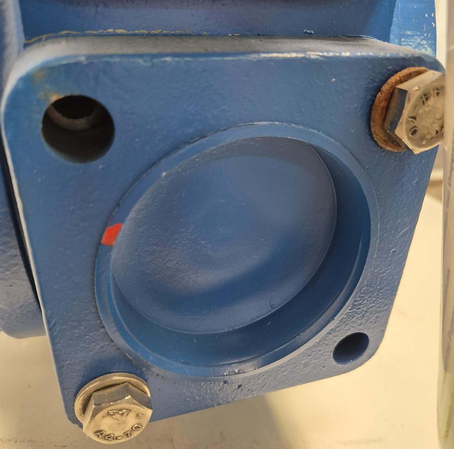 Überholt Blackmer Trruck Pumpe