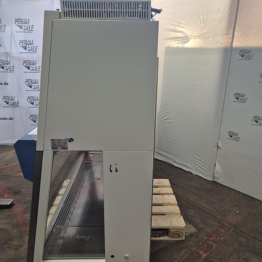 Gebraucht Thermo Secientific Workstation Safe2020