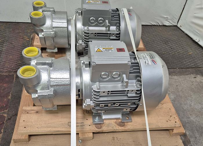 Elmo Rietschle Pumpe