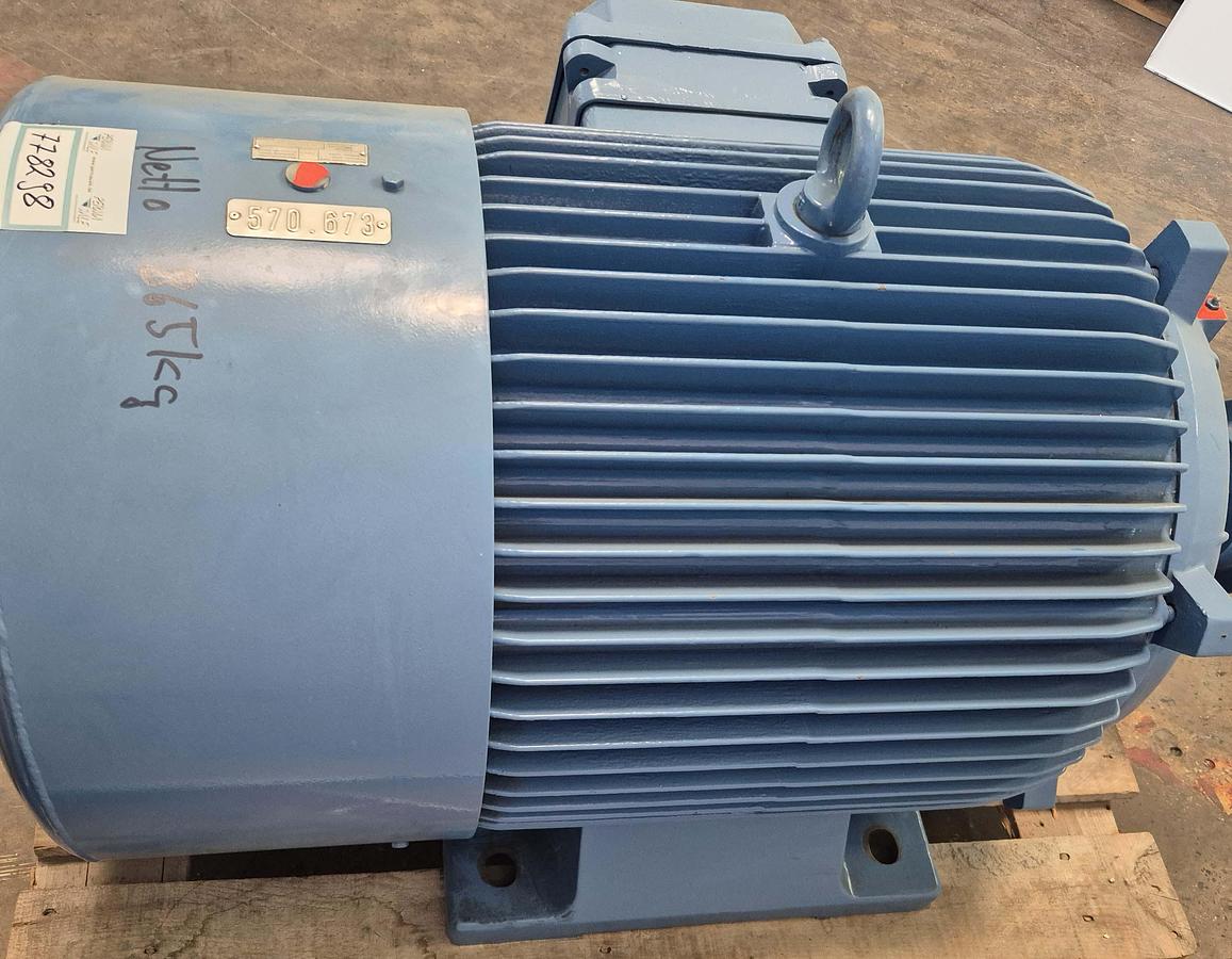 Überholt Loher Fussmotor EX / ENGv-315SB-04A