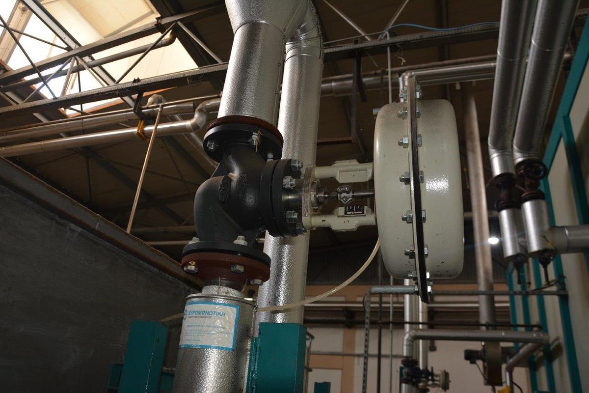 Used Salvade steamin machine Year 2019