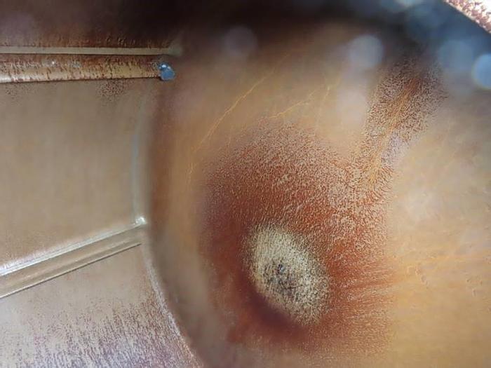 Used 54" x 42" Steel Ball Mill - Jacketed - 15 HP (#9872)