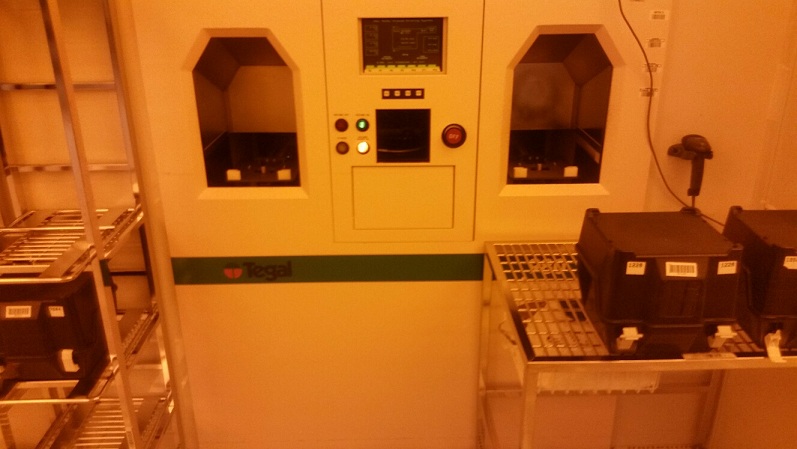 Used Tegal TEGAL 981