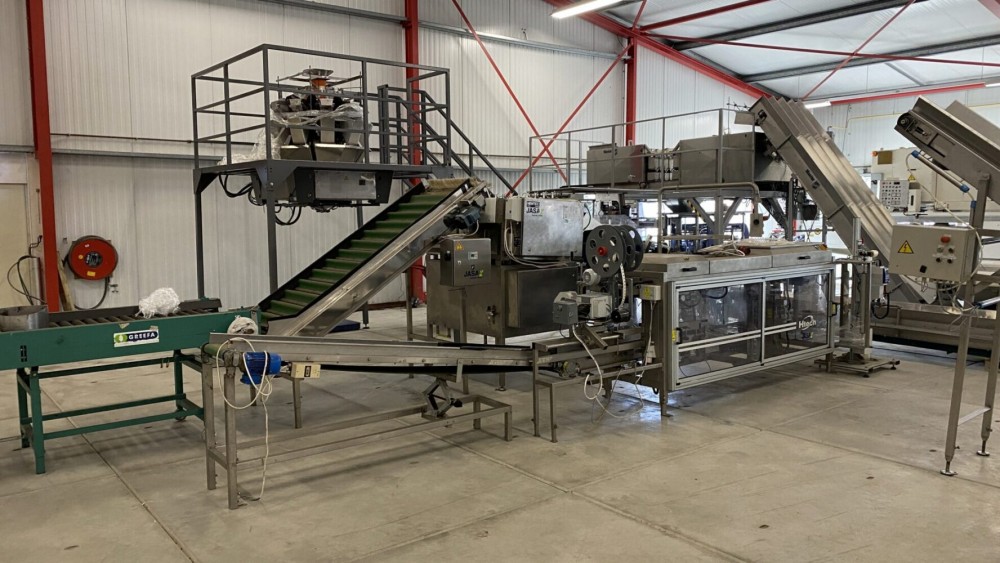 Used Newtec Htech weighing and bagging line