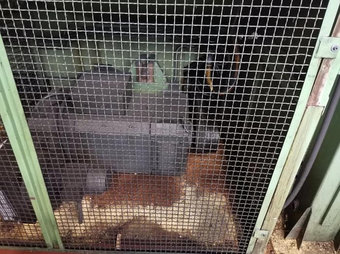 Installata Tornio Verticale a Doppio Mandrino Cnc MORANDO COREMU CKN 2 - 15"