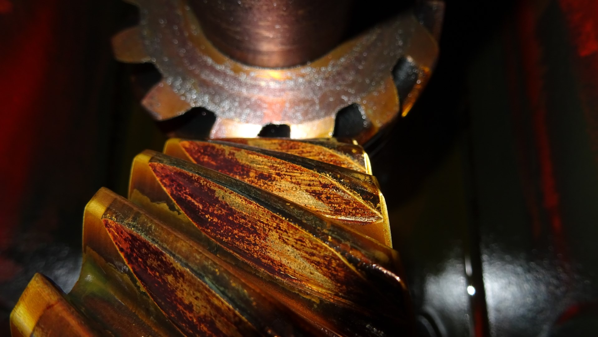 Used Bactofuge GEA Westfalia CND 215-01-076