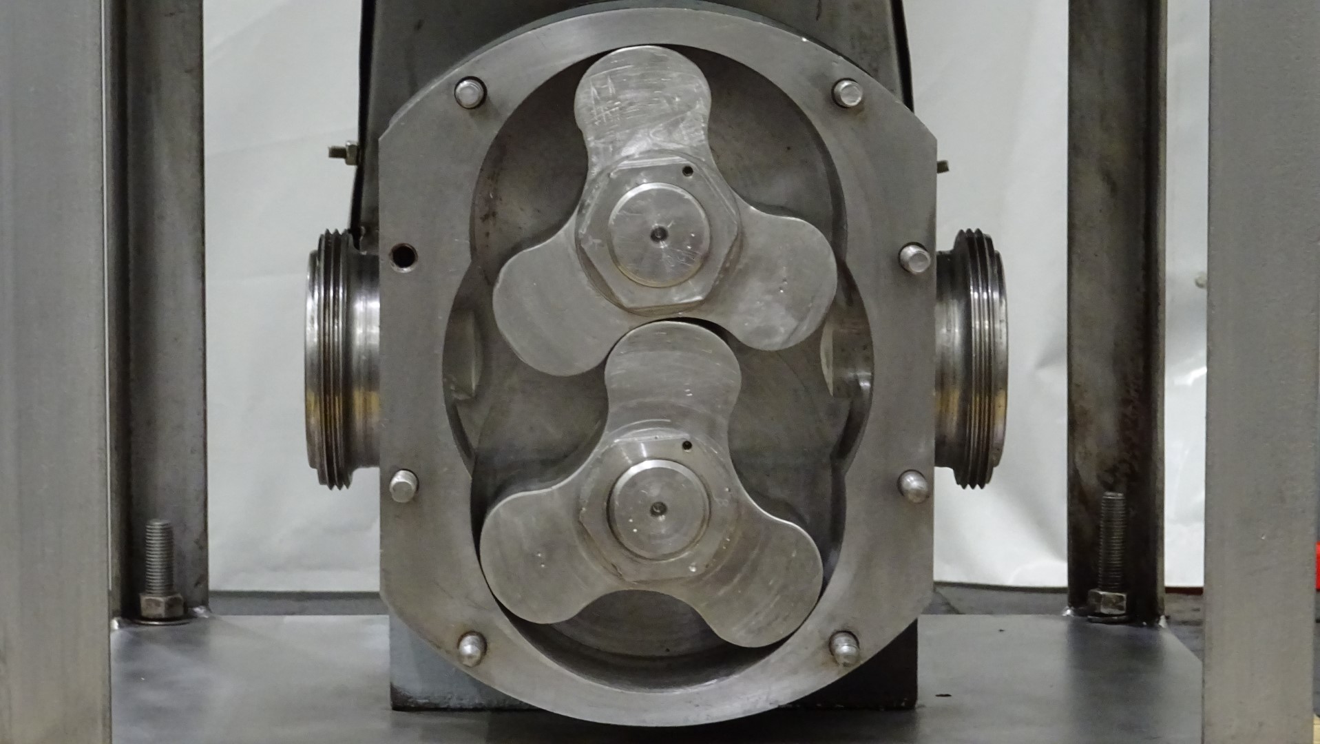 Used Rotary positive displacement pump / Lobe pump - Ibex MOG 3040