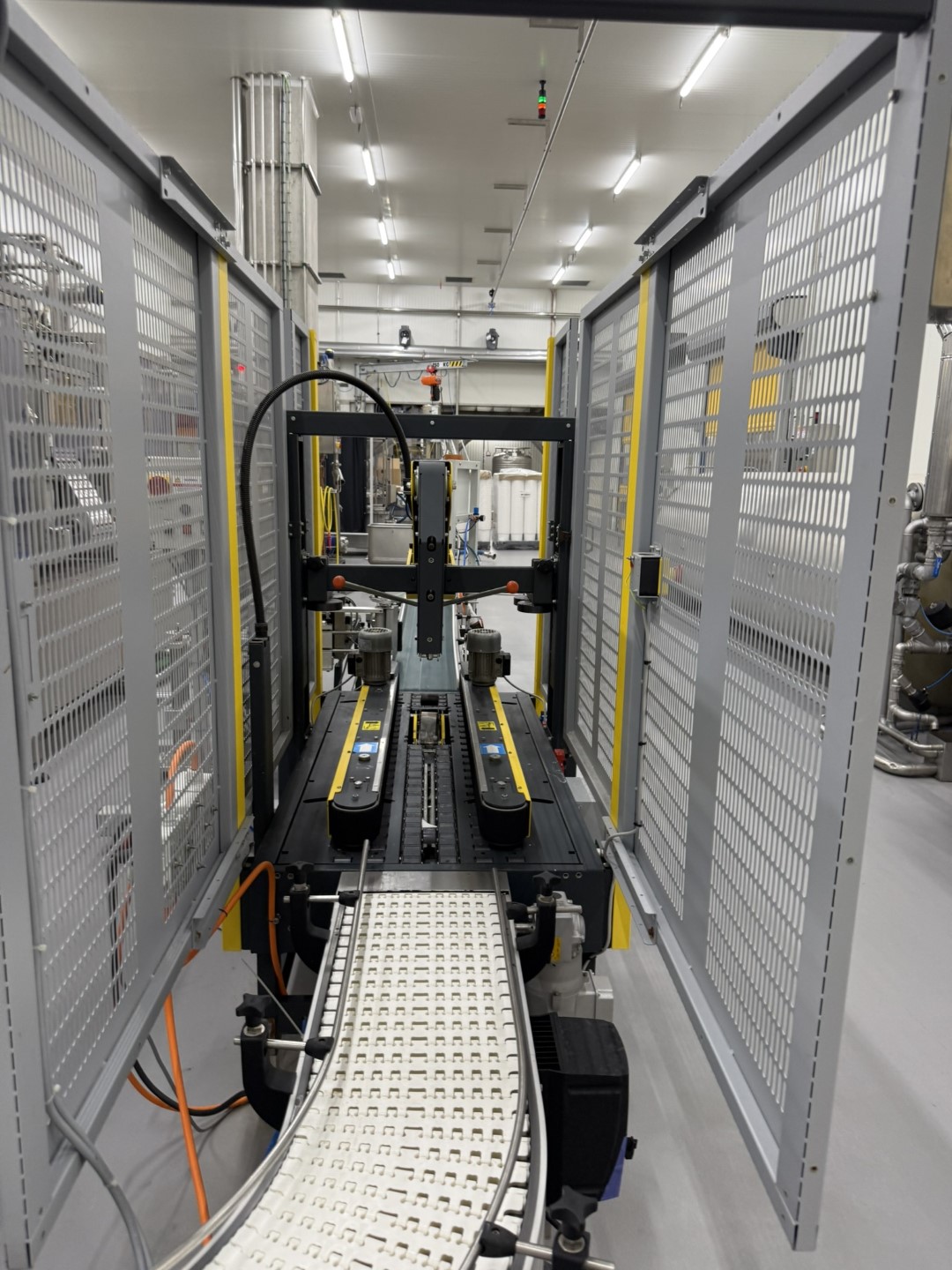 Used Form Fill Seal Machine (FFS) for mini-portions - Alimenta Newpack Division Thermoform FM100/E-20 HC