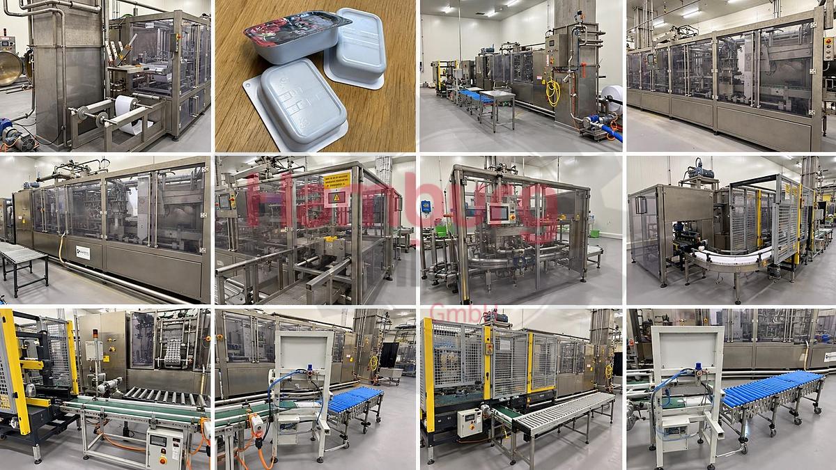 Used Form Fill Seal Machine (FFS) for mini-portions - Alimenta Newpack Division Thermoform FM100/E-20 HC