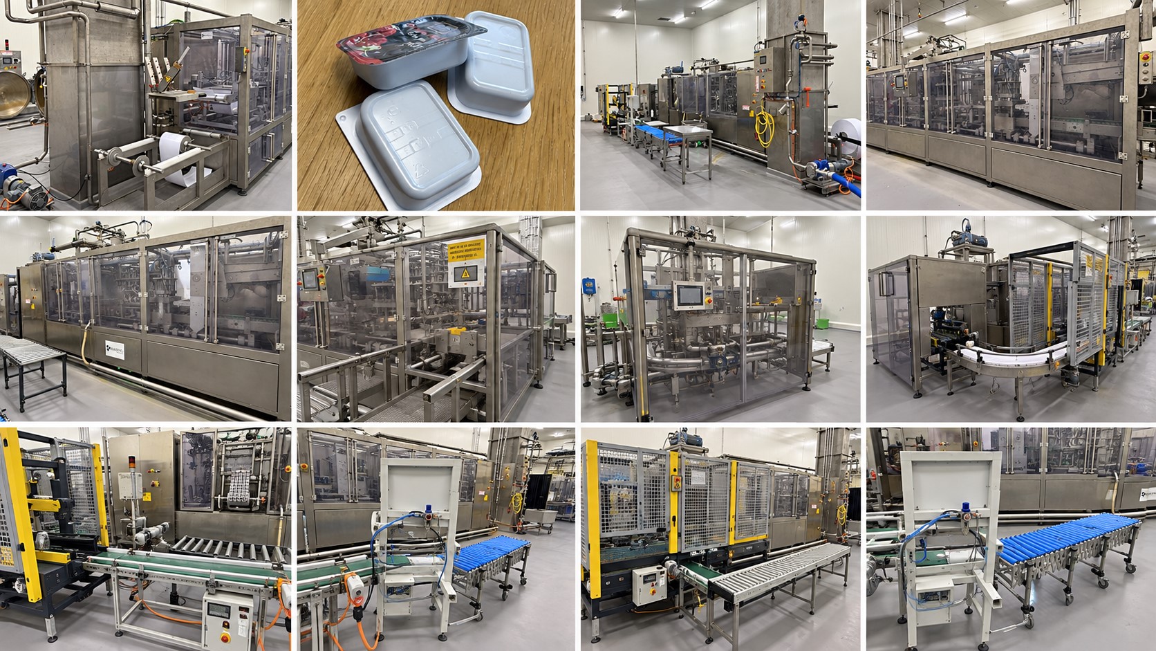Used Form Fill Seal Machine (FFS) for mini-portions - Alimenta Newpack Division Thermoform FM100/E-20 HC
