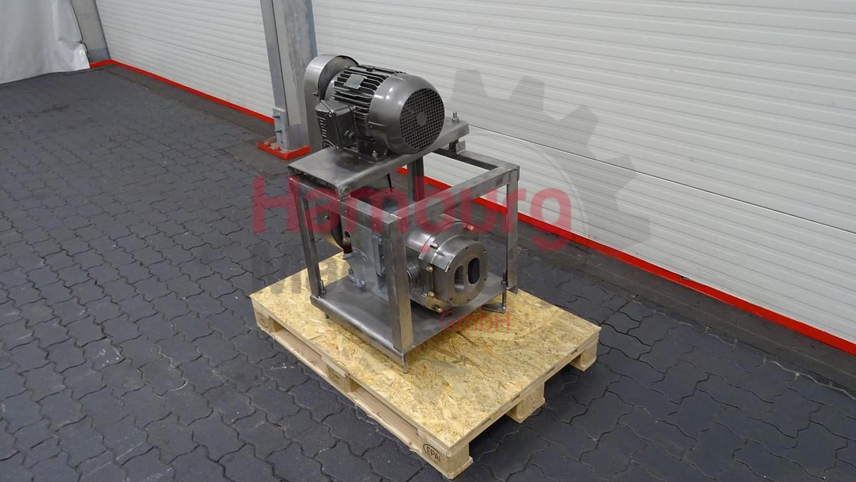 Used Rotary positive displacement pump / Lobe pump - Ibex MOG 3040