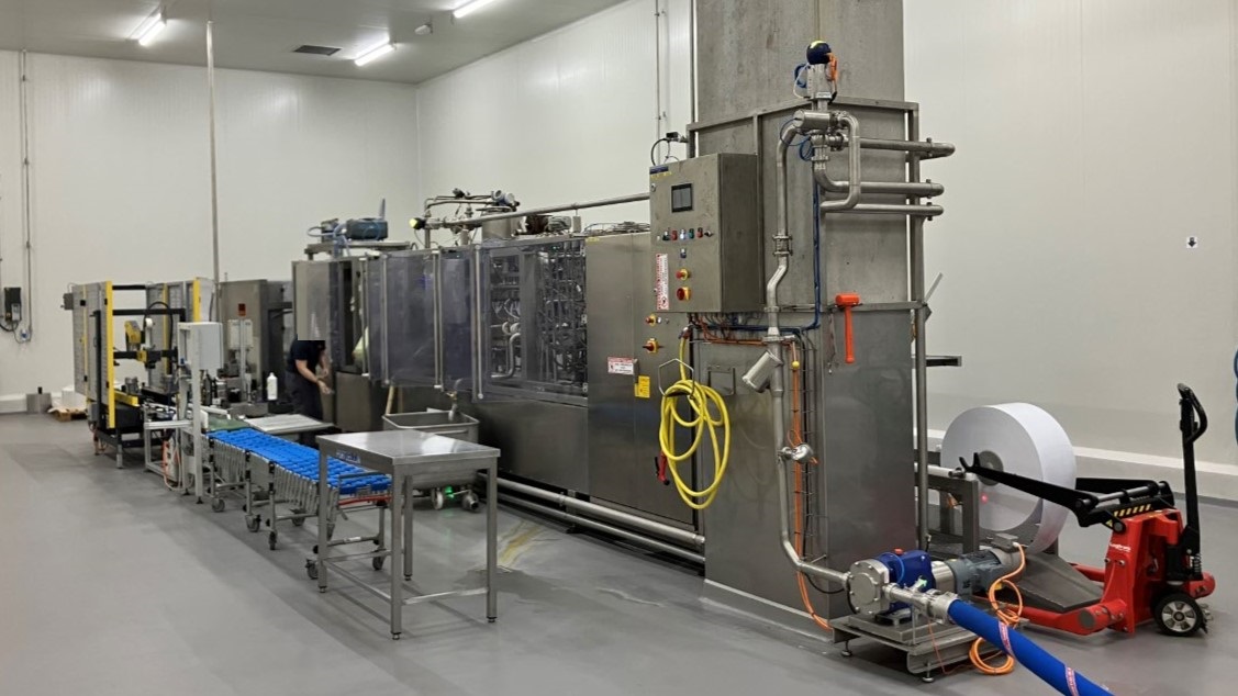 Used Form Fill Seal Machine (FFS) for mini-portions - Alimenta Newpack Division Thermoform FM100/E-20 HC