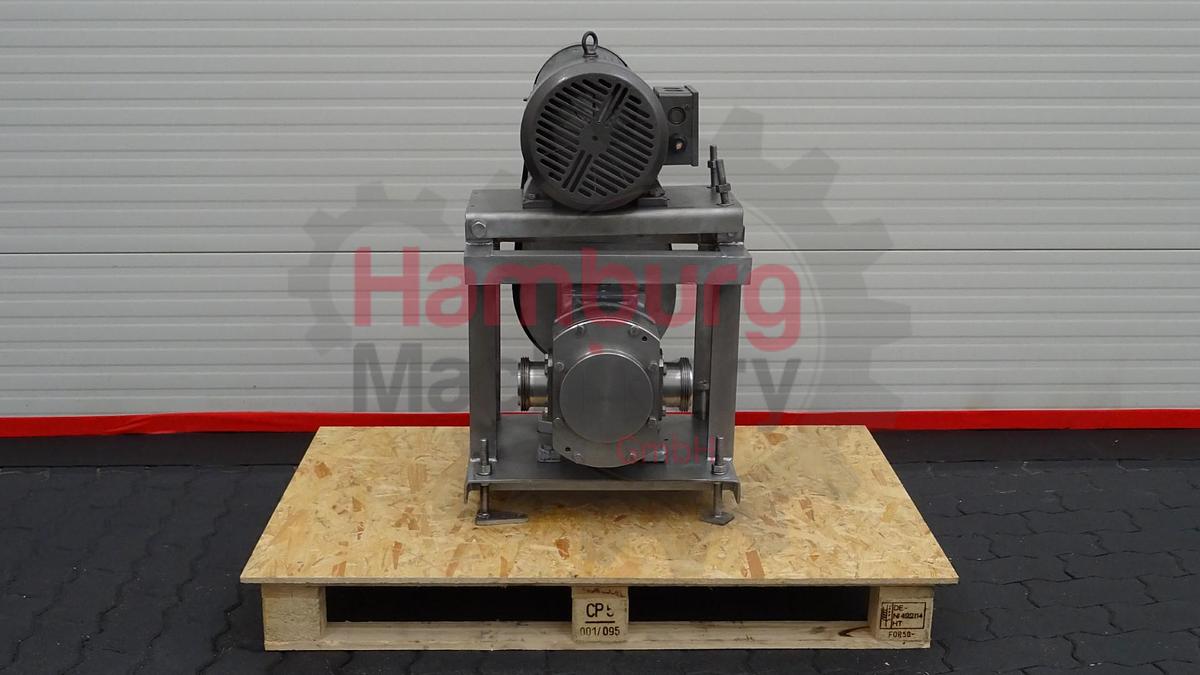 Used Rotary positive displacement pump / Lobe pump - ITT Jabsco Pureflo Lobe 24250-4310