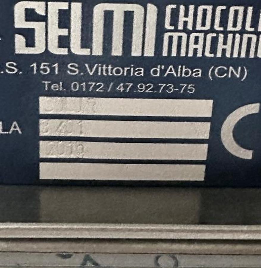 Used Selmi Color EX
