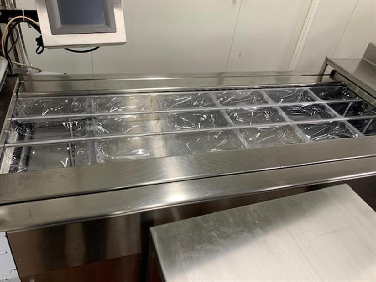 Used Multivac model Baseline F100 thermoformer