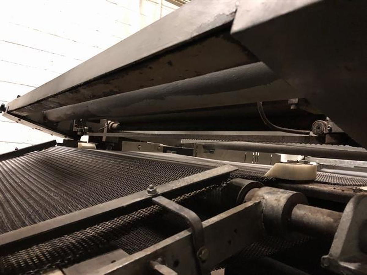 Used Werner Lehara 1- Meter Double Oven Line for Biscotti/Macaroons