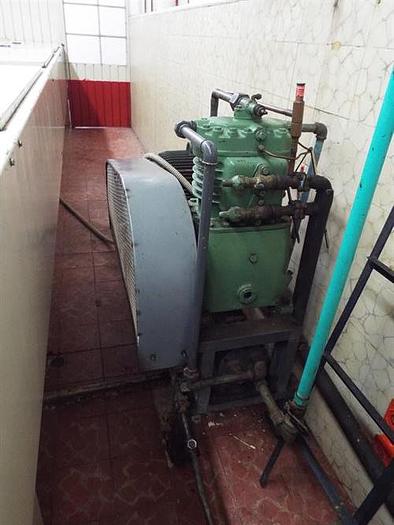 Used Delver 3-Layer Chocolate Mint Molding Plant