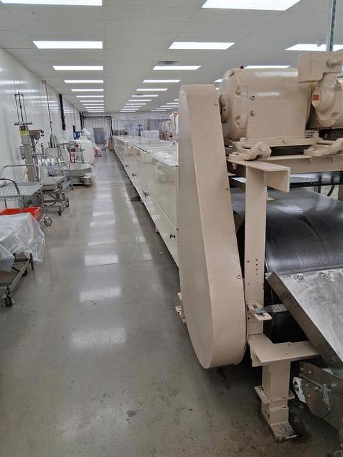 Used National Equipment 32" Chip Depositing Line