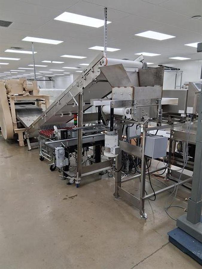 Used National Equipment 32" Chip Depositing Line