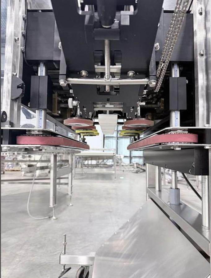 Used E-Pak 4-Spindle Capper with Sorter & Elevator