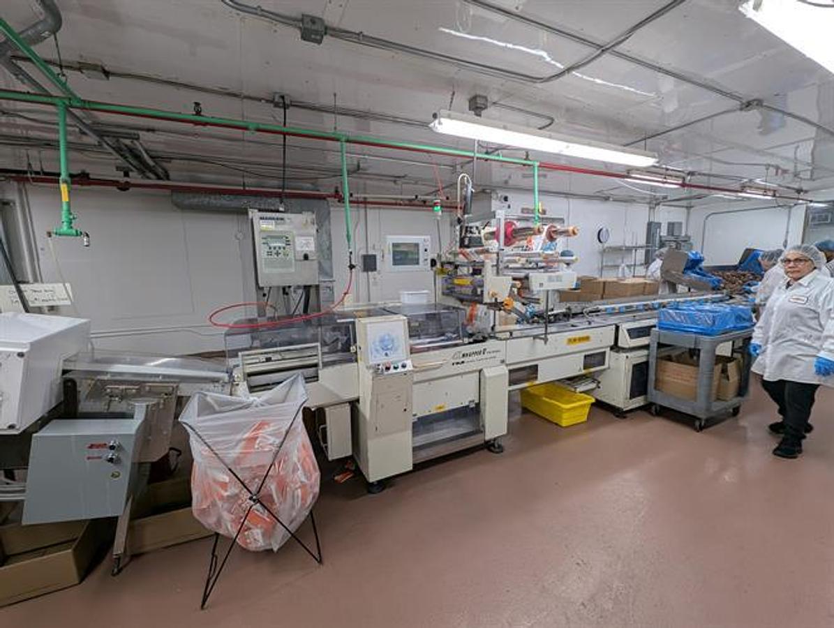Used Fuji Flow Wrapper with AutoFeed System for Chocolates