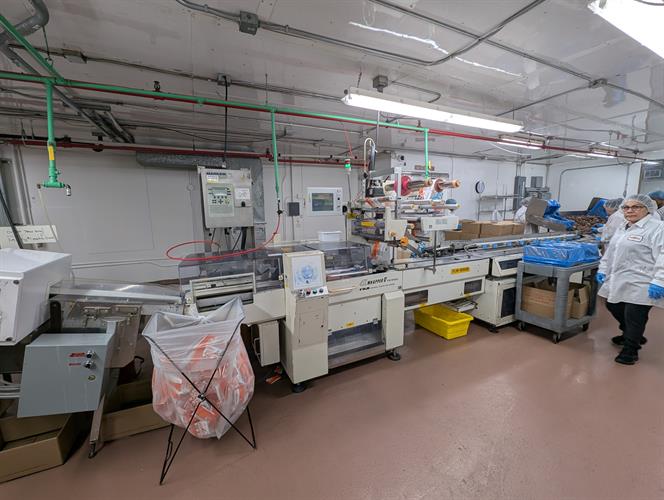 Used Fuji Flow Wrapper with AutoFeed System for Chocolates