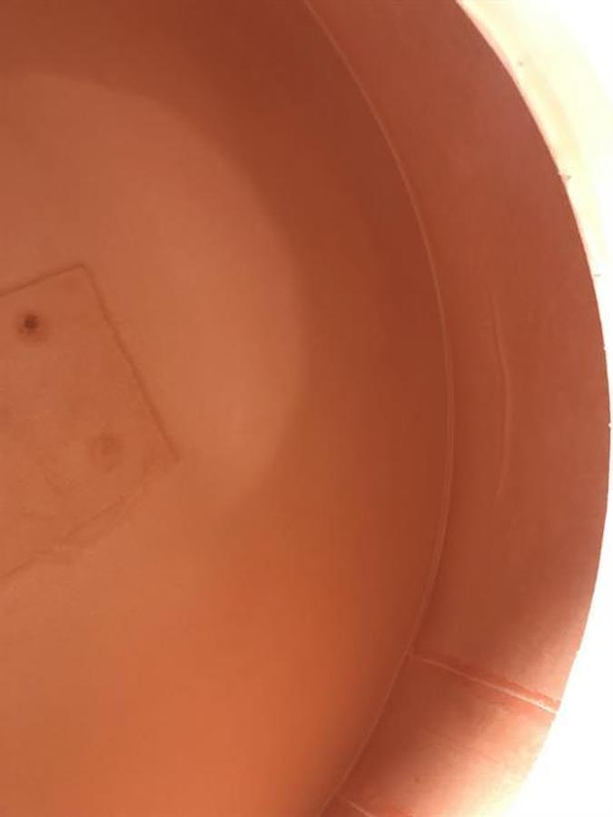 Used Cherry Burrell 40" diameter canvas coating pan