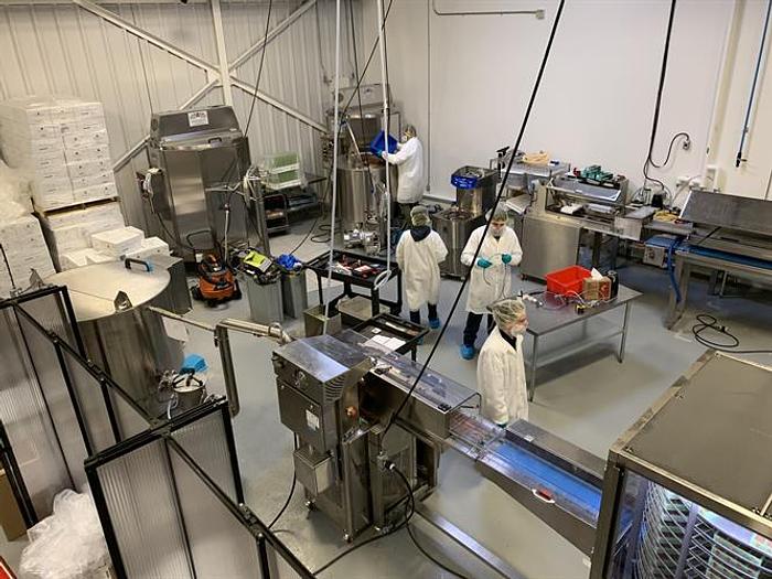 Used Selmi Molding Line with Spider Cooler - Built 2019